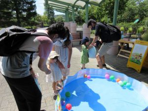 未就園児対象夏まつり の投稿