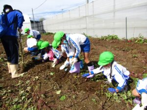 10月11日（火）芋ほり の投稿