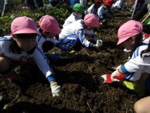 10月18日おいもほり の投稿